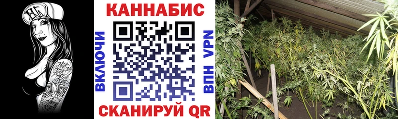 Магазины продажи наркотиков Зубцов МАРИХУАНА  Галлюциногенные грибы  Альфа ПВП  Меф  ГАШИШ  NBOMe  COCAIN 