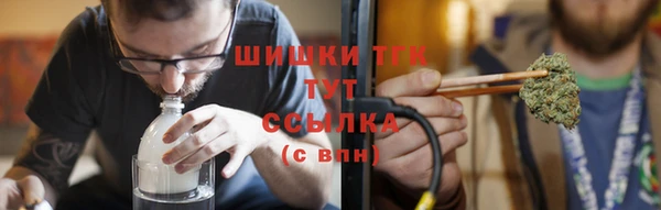 гидра Покачи