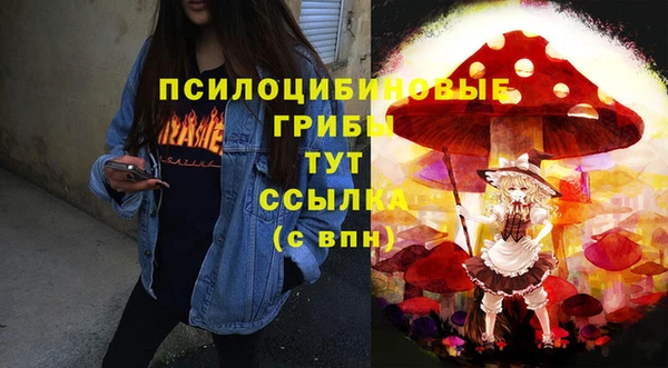 бошки Абаза