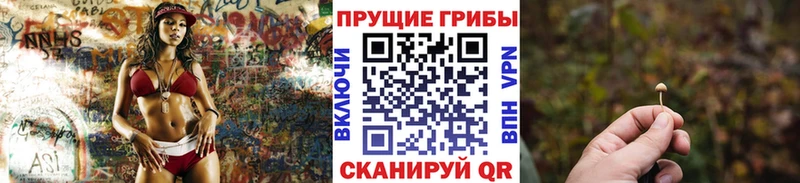 Галлюциногенные грибы прущие грибы Зубцов