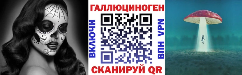 Галлюциногенные грибы мицелий что такое Зубцов