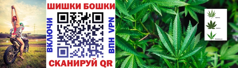 как найти   Зубцов  МЕГА зеркало  Шишки марихуана White Widow 